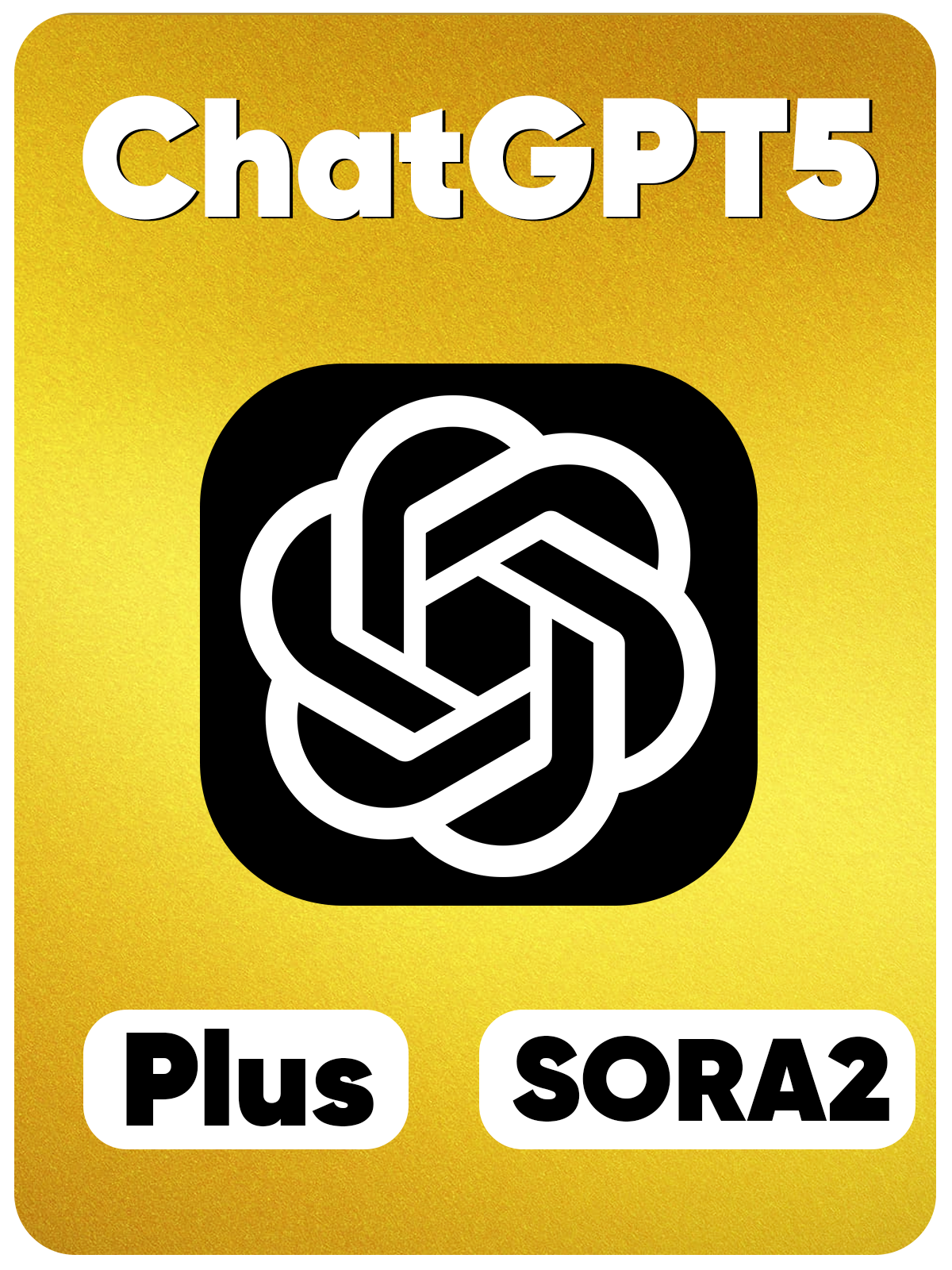 ChatGPT 5 PLUS - ანგარიში