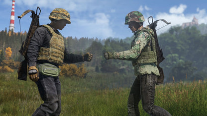 DayZ (PC)  - Steam ციფრული გასაღები / ანგარიში
