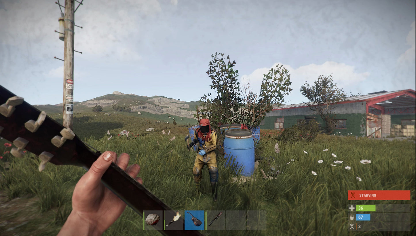 RUST (PC) - Steam ციფრული გასაღები / ანგარიში